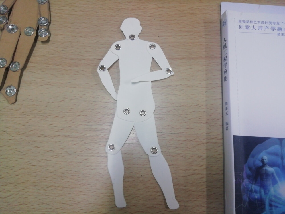 人体模型