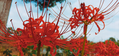 你会爱我，
在61分，在星期八，在25点，在13月