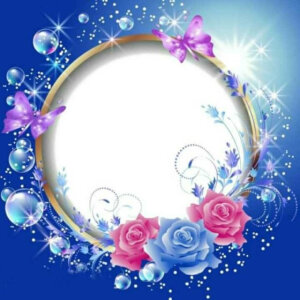 抱图必须关注七夏  我  不然祝你胖