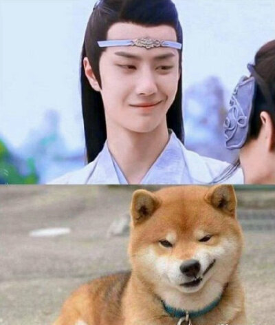 不知如何形容，一爱字足矣，陈情女孩来了৫(”ړ৫)