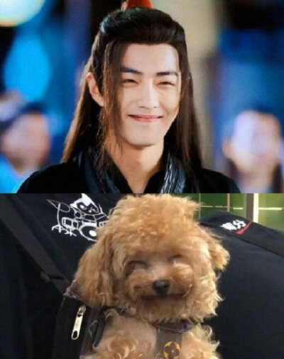 不知如何形容，一爱字足矣，陈情女孩来了৫(”ړ৫)