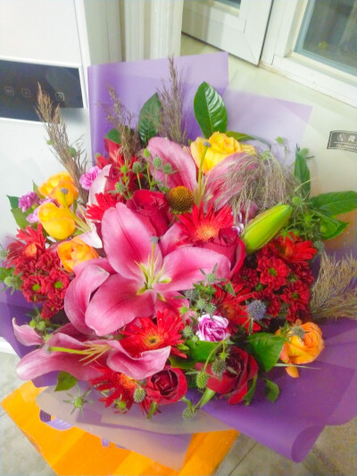 万物可爱 我按时长大