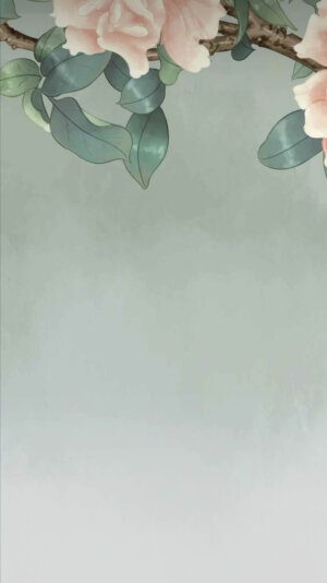 壁纸