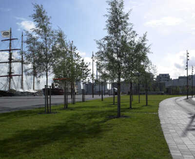 奥尔堡海滨公园 Aalborg Waterfront – linking port & city / C. F. Møller Architects