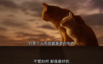 《租赁猫》