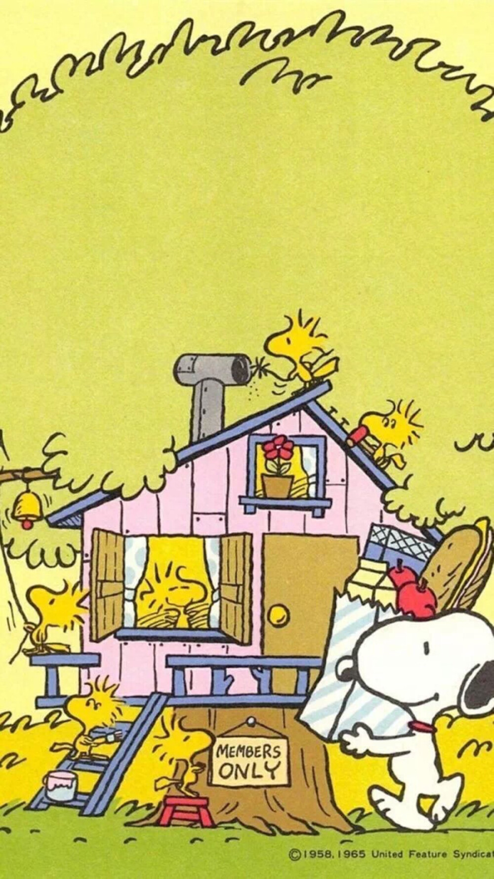 每天壁纸都不同