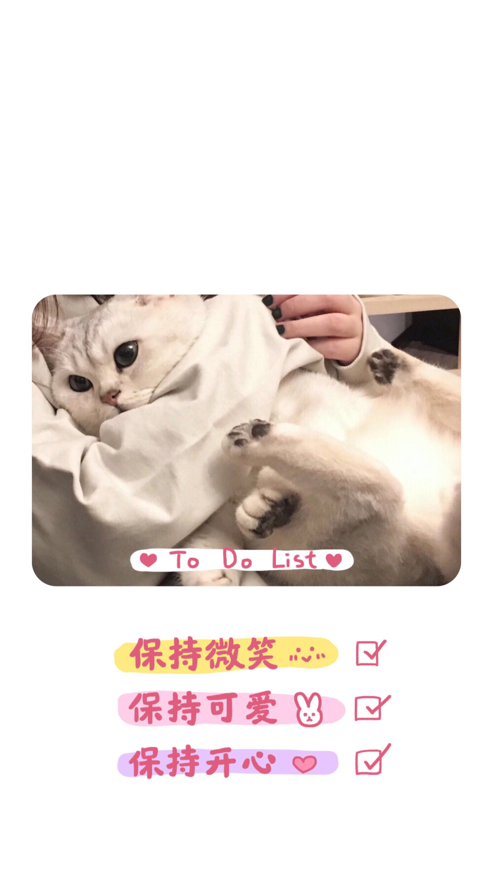 可爱壁纸 小猫咪
美少女 锁屏