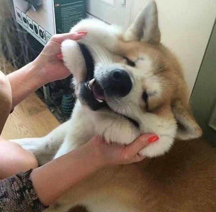 恩