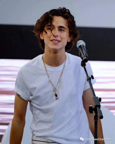 Timothée Chalamet 提莫西查拉梅 甜茶