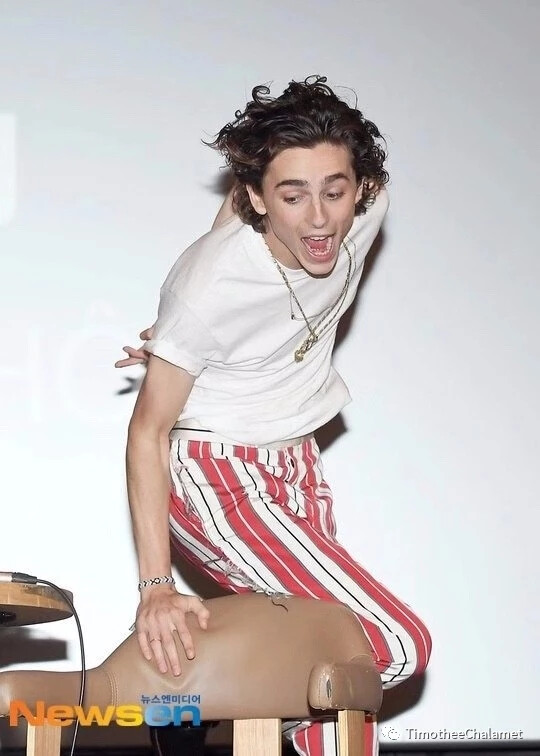 Timothée Chalamet 提莫西查拉梅 甜茶