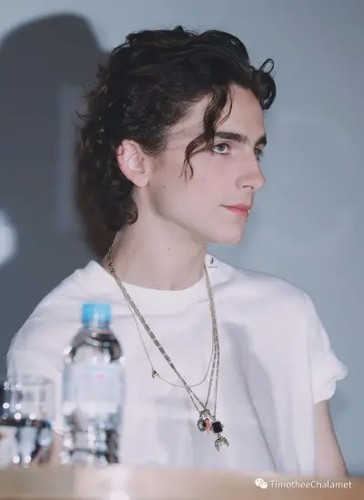 Timothée Chalamet 提莫西查拉梅 甜茶