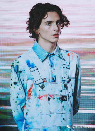 Timothée Chalamet 提莫西查拉梅 甜茶