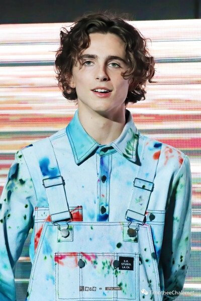 Timothée Chalamet 提莫西查拉梅 甜茶