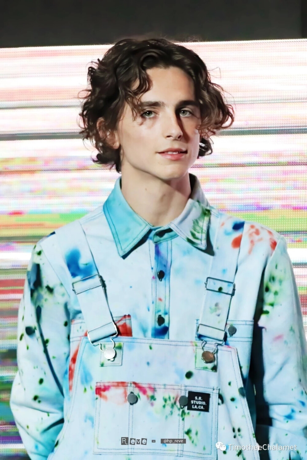 Timothée Chalamet 提莫西查拉梅 甜茶