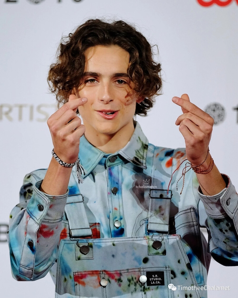 Timothée Chalamet 提莫西查拉梅 甜茶