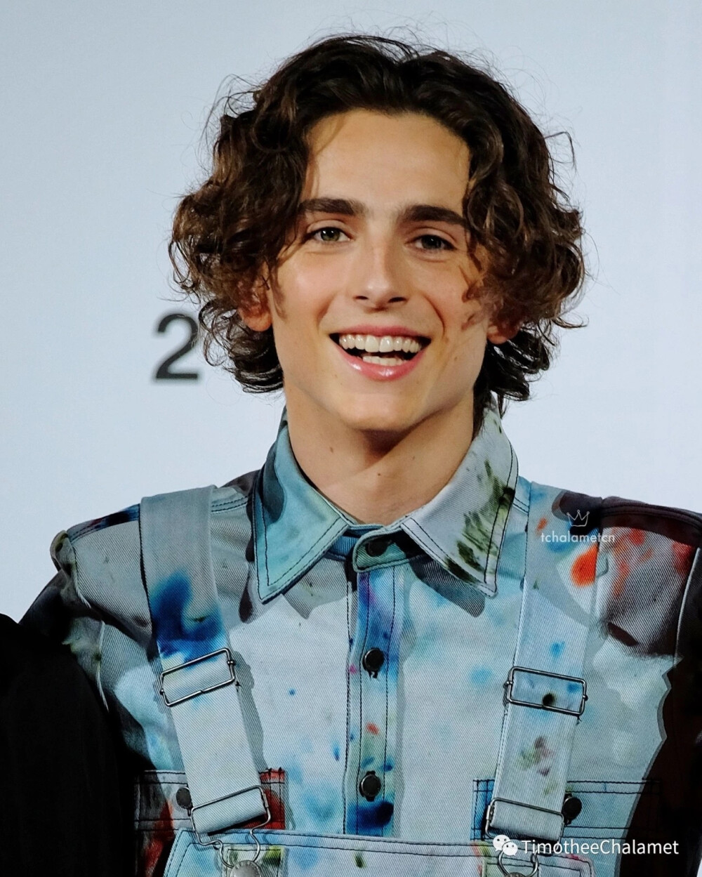 Timothée Chalamet 提莫西查拉梅 甜茶