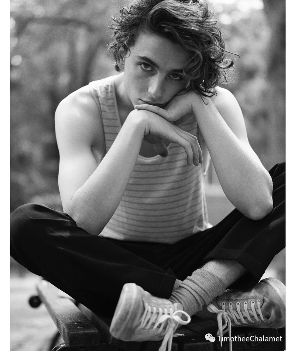 Timothée Chalamet 提莫西查拉梅 甜茶