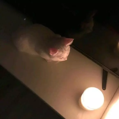 搞怪可爱朋友圈背景图.杂