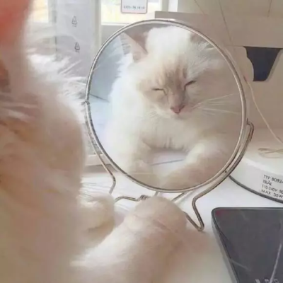 搞怪可爱朋友圈背景图.杂