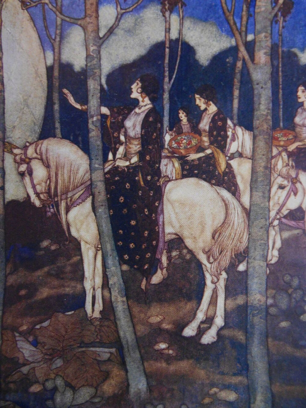 法国插画家 Edmund Dulac /The art of fairy tale 