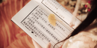 那日你打马而过言笑晏晏的问