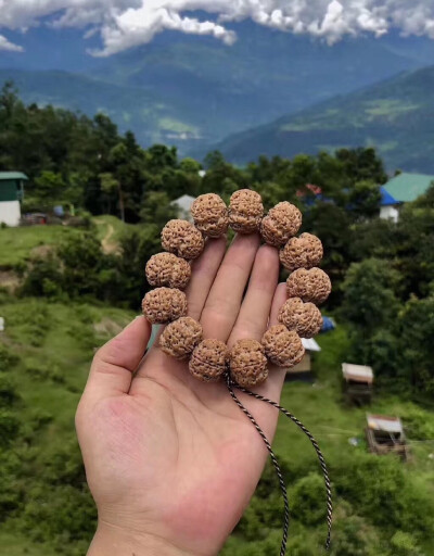 收集一切值得关注的美好事物