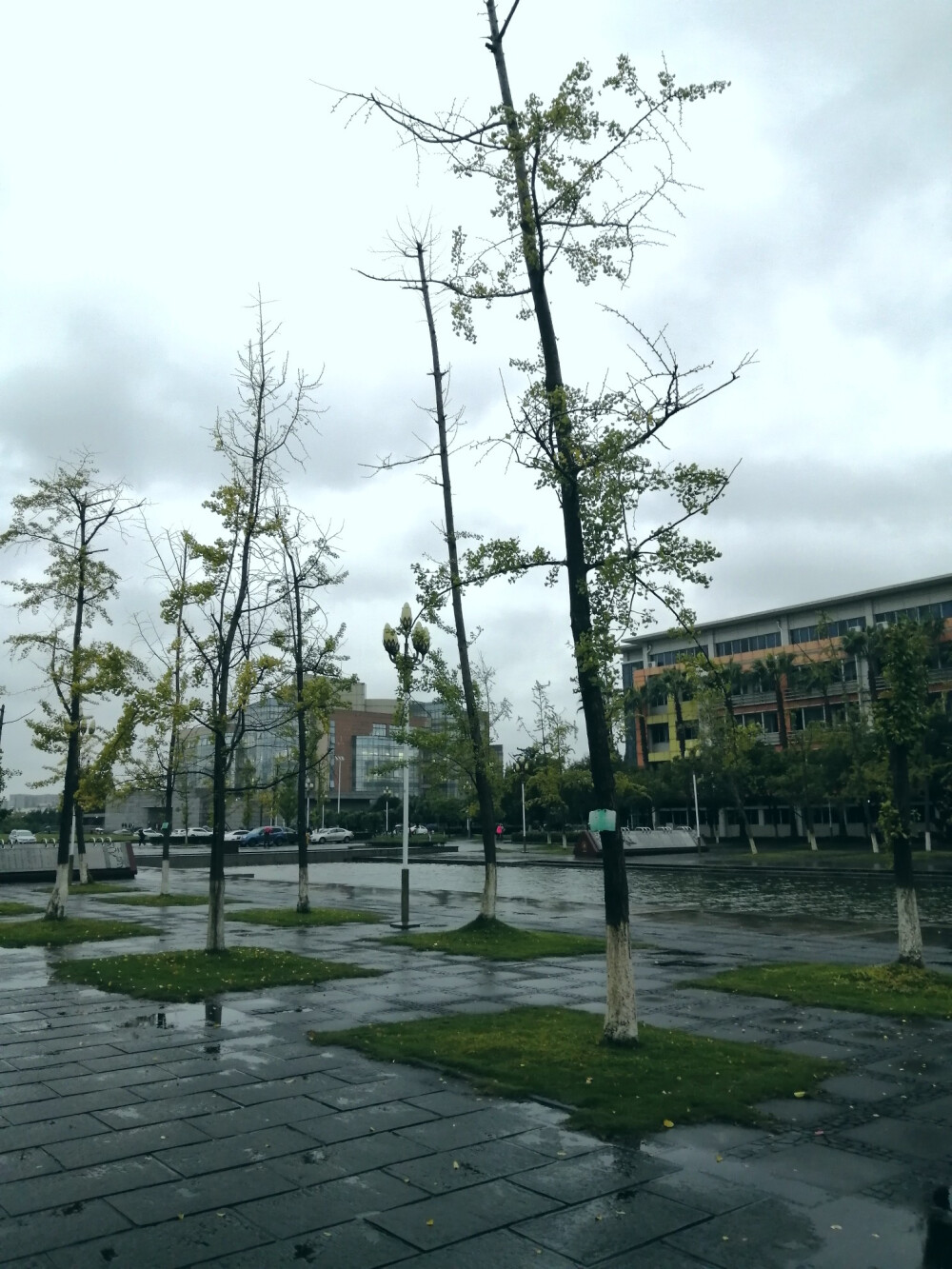 雨天的江安