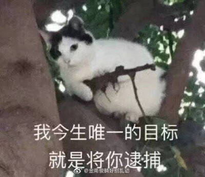 撩男朋友表情包