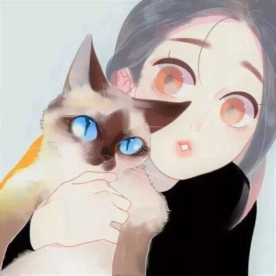 猫猫