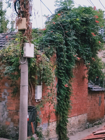 台上的戏还在唱着，正唱道：
“俺曾见金陵玉殿莺啼晓，秦淮水榭花开早，谁知道容易冰消。
眼看他起朱楼，眼看他宴宾客，眼看他楼塌了。
这青苔碧瓦堆，俺曾睡风流觉，将五十年兴亡看饱……”
楼塌了，戏却未终。
