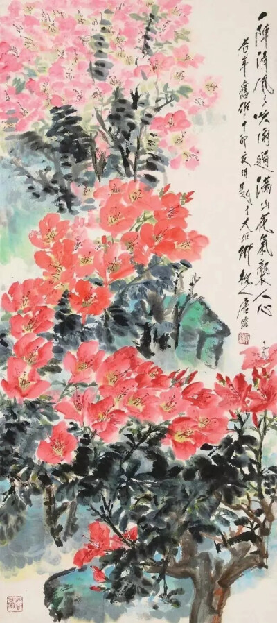 花鸟