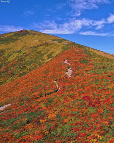 日本 宮城県 栗原市 栗駒山 秋日绚烂