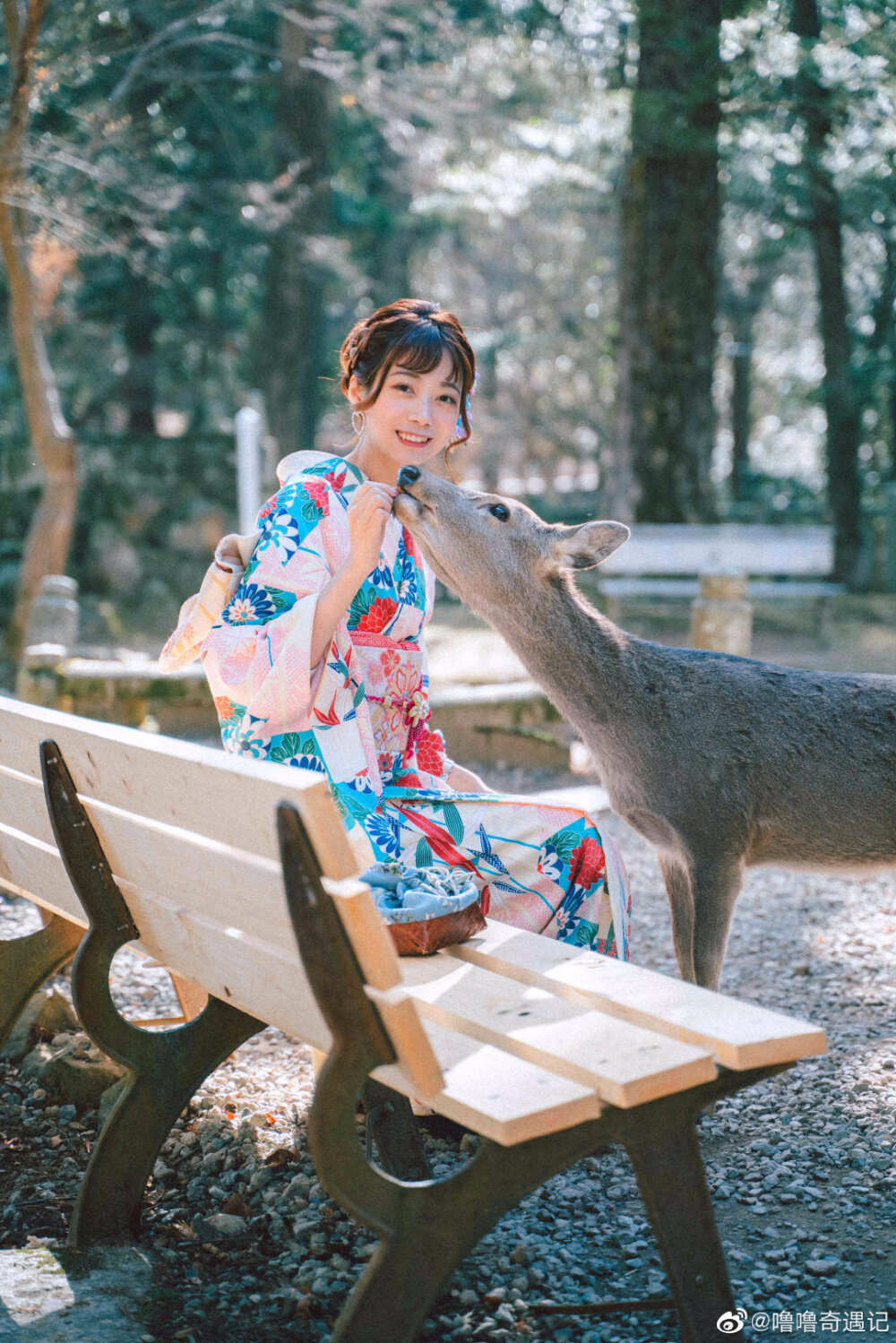 鹿·阳光·和服
出境@唐纳德女朋友相叶机智阿PO
摄影@噜噜奇遇记
#日本旅拍##京都旅拍##奈良旅拍##和服写真# #日本约拍# ​