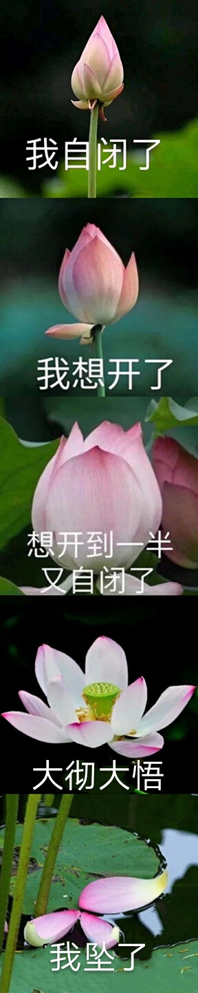 自闭