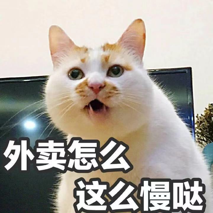 楼楼