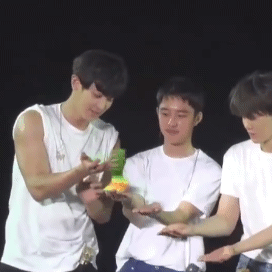 EXO，幼稚，演唱会，跳跳圈，沙雕，朴灿烈，金俊勉，都暻秀