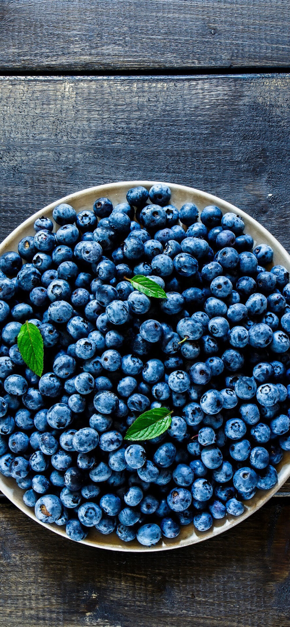 水果-蓝莓
