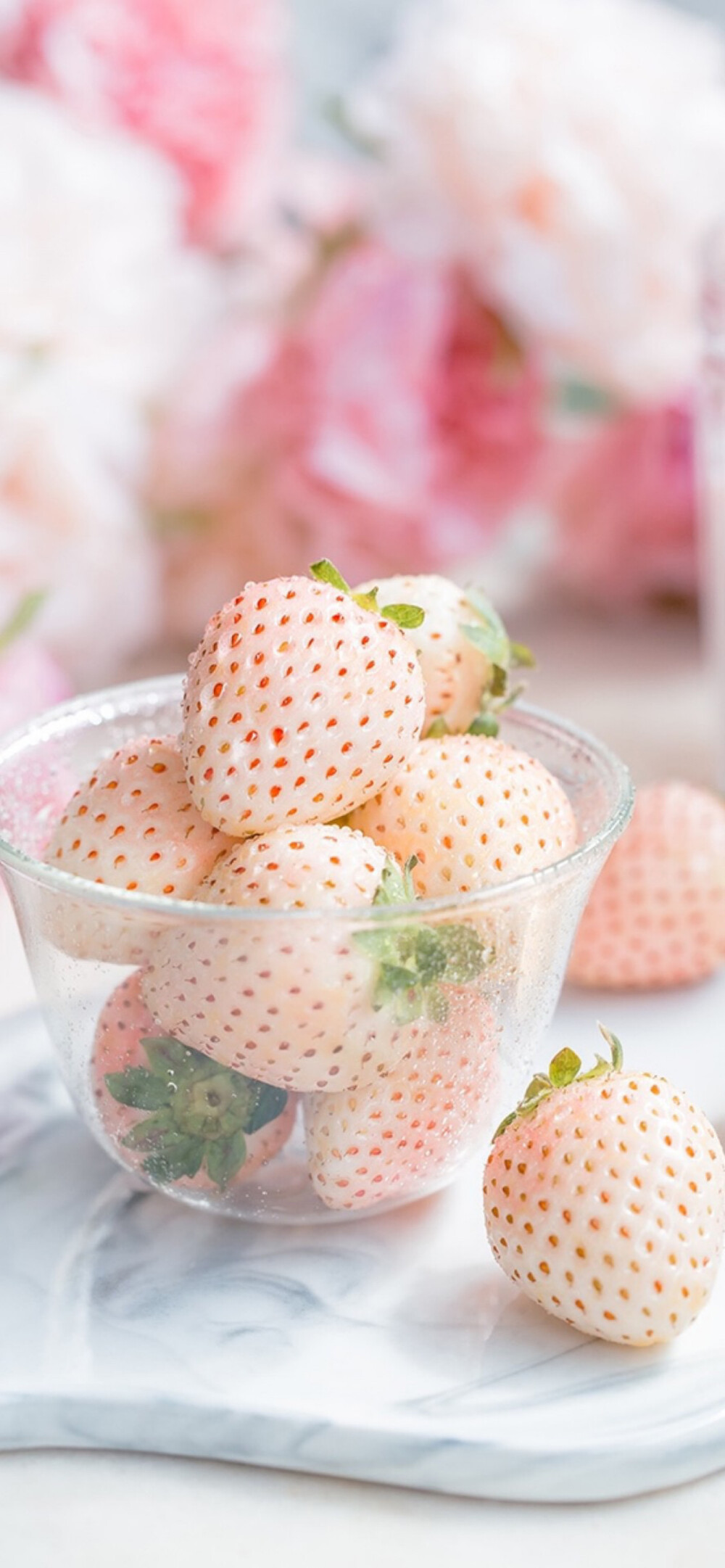 水果-牛奶草莓