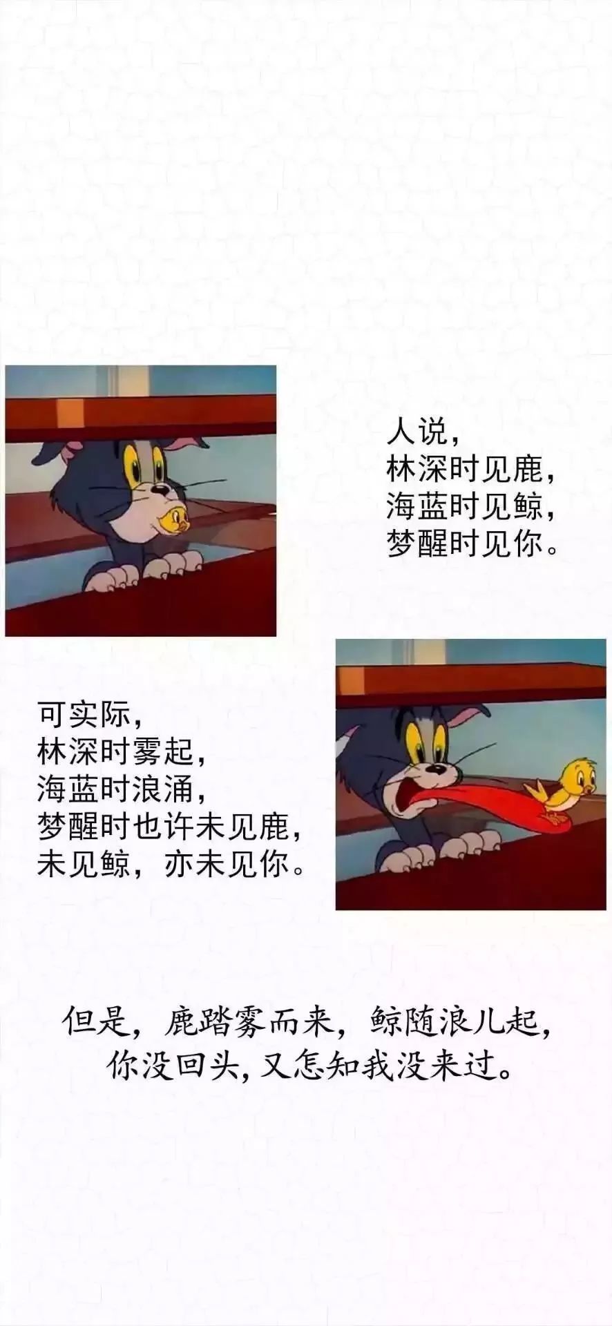 壁纸