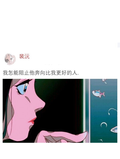 二传注明dt裴沅