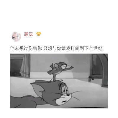 二传注明dt裴沅