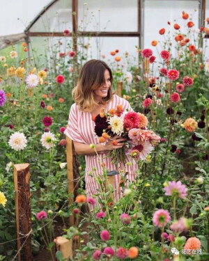 草木花枝无言，但拈花者有心。