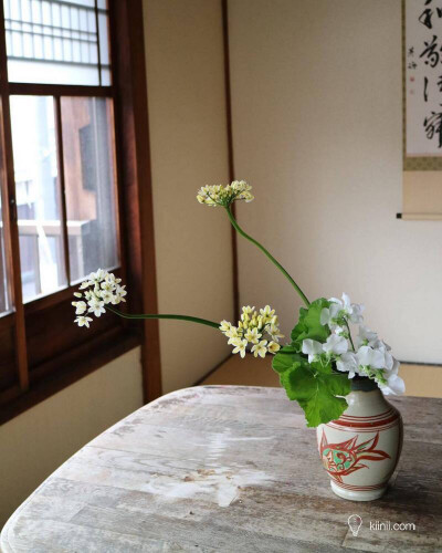 日本花艺师安達力的插花作品，通过花艺与器物的相互呼应，尽现春日时光的温柔和宁静。全文☞http://t.cn/EikTnNQ （分享自 kiinii APP 下载链接：http://t.cn/R5HxYA3）#花艺# #设计# ​