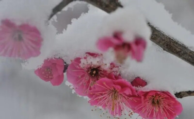 不经苦寒，怎得梅花香；
不经磨砺，怎得锋利剑；
不经苦难，怎能得真经！