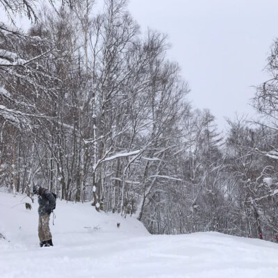 滑雪 灿烈