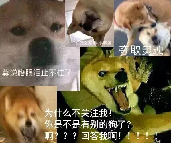 沙雕图