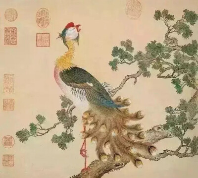 清朝流传至今的《鸟谱》图，图图精美绝伦，堪称国宝级画谱。
创作于乾隆年间的这套《鸟谱》实际是临摹蒋廷锡之作，而蒋廷锡是一个不折不扣的工笔画奇才。