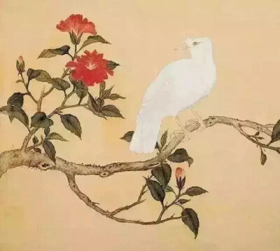 清朝流传至今的《鸟谱》图，图图精美绝伦，堪称国宝级画谱。
创作于乾隆年间的这套《鸟谱》实际是临摹蒋廷锡之作，而蒋廷锡是一个不折不扣的工笔画奇才。