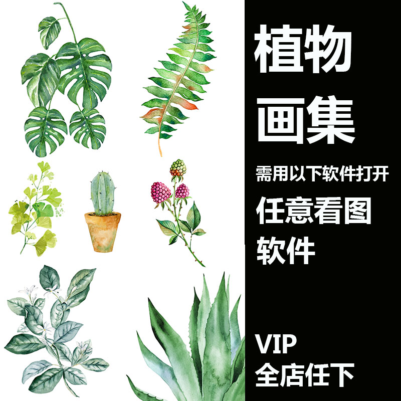 水彩手绘绿色小清新植物仙人掌高清装饰画芯插画JPG图片素材jpg75