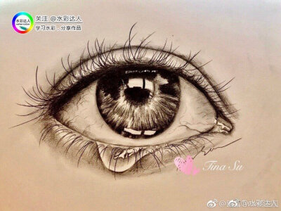 【超详细教程】
教你如何用一支笔 征服一只眼睛
#手绘插画教程#（作者：@跟着Tina画美国 ） ​